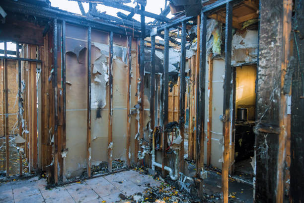 Professional Emergency Fire Cleanup technician working in Dillingham, AK